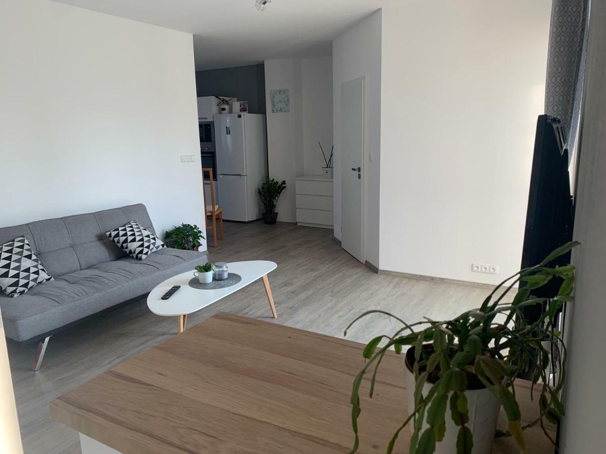 Tolarova Apartmán Pardubice Kültér fotó